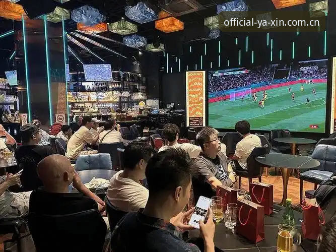 资深用户深度体验：亚新体育平台上的世界杯观赛困境实录